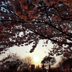 性欧美18ⅩⅩ❌❌❌车里
